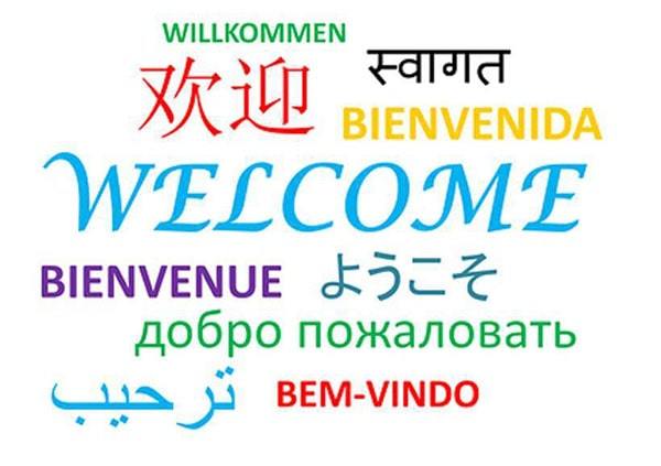 Using Multilingual Websites to Increase User Engagement