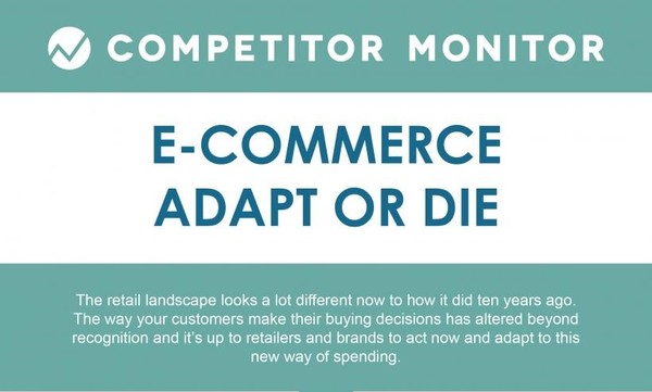 Adapt or Die: Steps For Online Retail Success